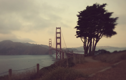 Golden Gate chrome extension