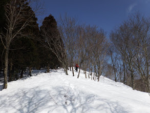 傾斜が緩み歩きやすく