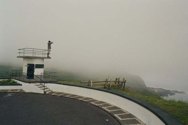 Nella nebbia di batti