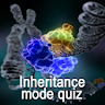 Genetic Inheritance Quiz C icon