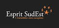 ESPRIT SUD EST IMMOBILIER