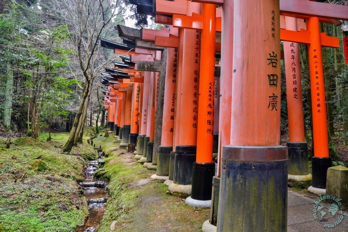 proteína Vástago derrota 20 cosas que ver y hacer en Kioto