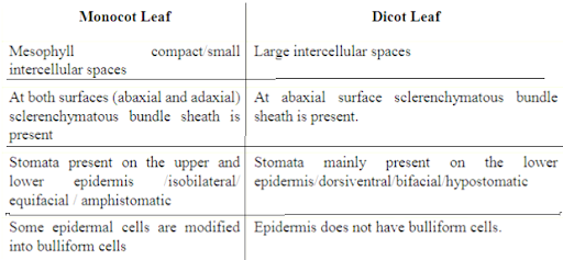 Solution Image