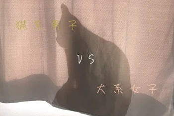 猫  系  男  子  V S  犬  系  女  子