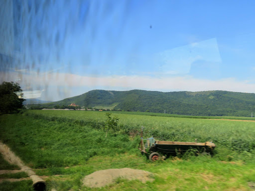 Transylvanian Winery România 2016