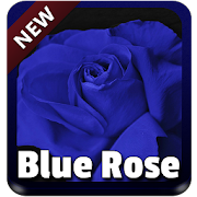 Blue Rose Keyboard  Icon