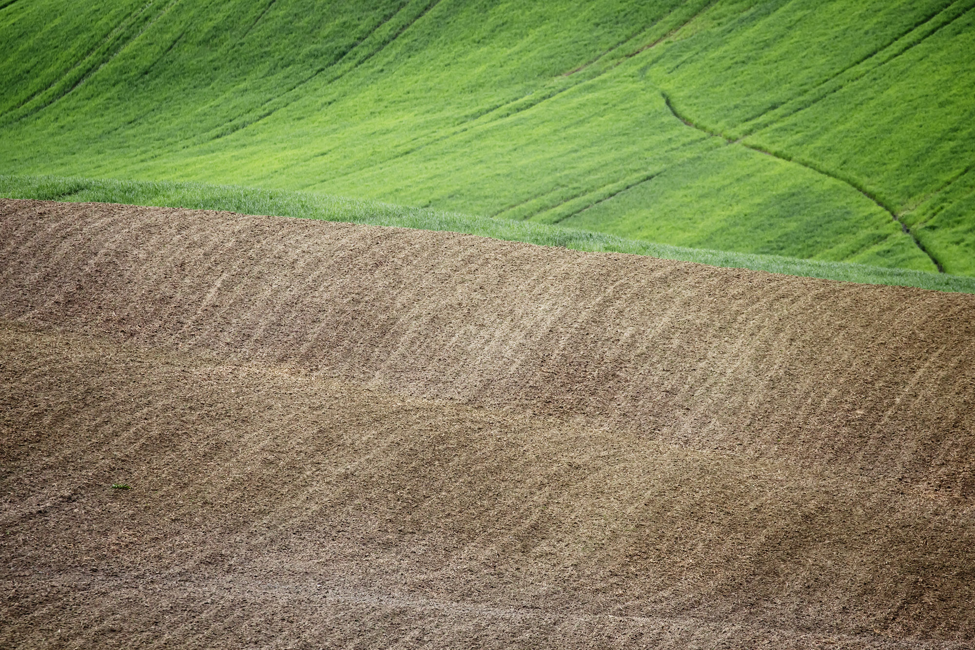 Onde..... di stefanogaleotti