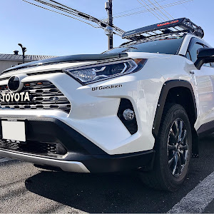 RAV4 AXAH54