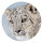 Snow Leopard HD New Tab Animals Themes