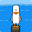 Seagull Sequence Download on Windows