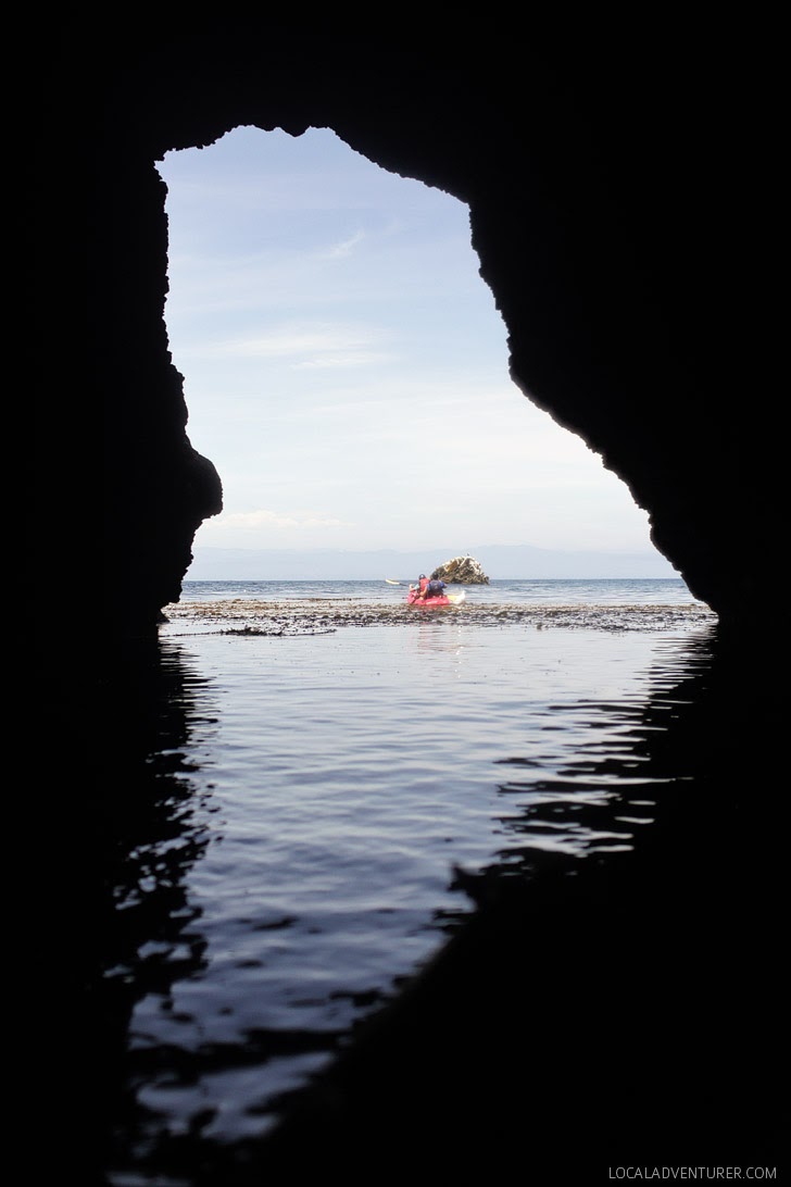 Kayaking Channel Islands with Tinggly.