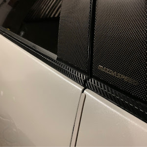 アクセラスポーツ BM2FS