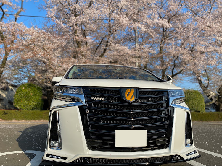 アルファードの桜と愛車・M'z SPEED・コロナウイルスに負けるな・SPECIALITY FORGED CUSTOM MADEに関するカスタム事例の投稿画像5枚目