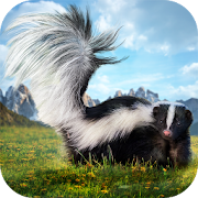 Skunk Simulator 3D  Icon