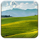 Canola Fields Chrome extension download