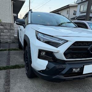 RAV4 AXAH54