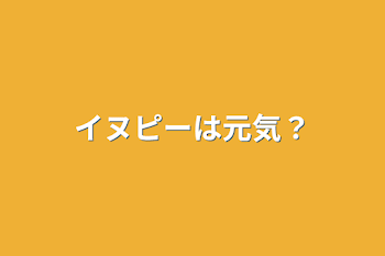 イヌピーは元気？