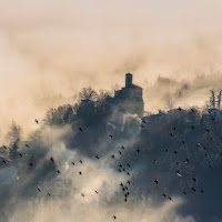 Nella terra di mezzo di 