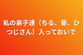 私の弟子達（ちる、葵、ひつじさん）入っておいで