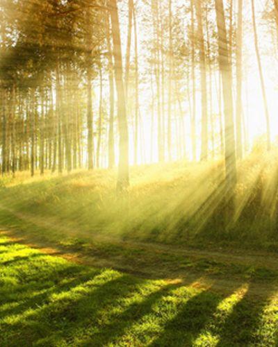 Kumpulan Doa Buka Aura ☜