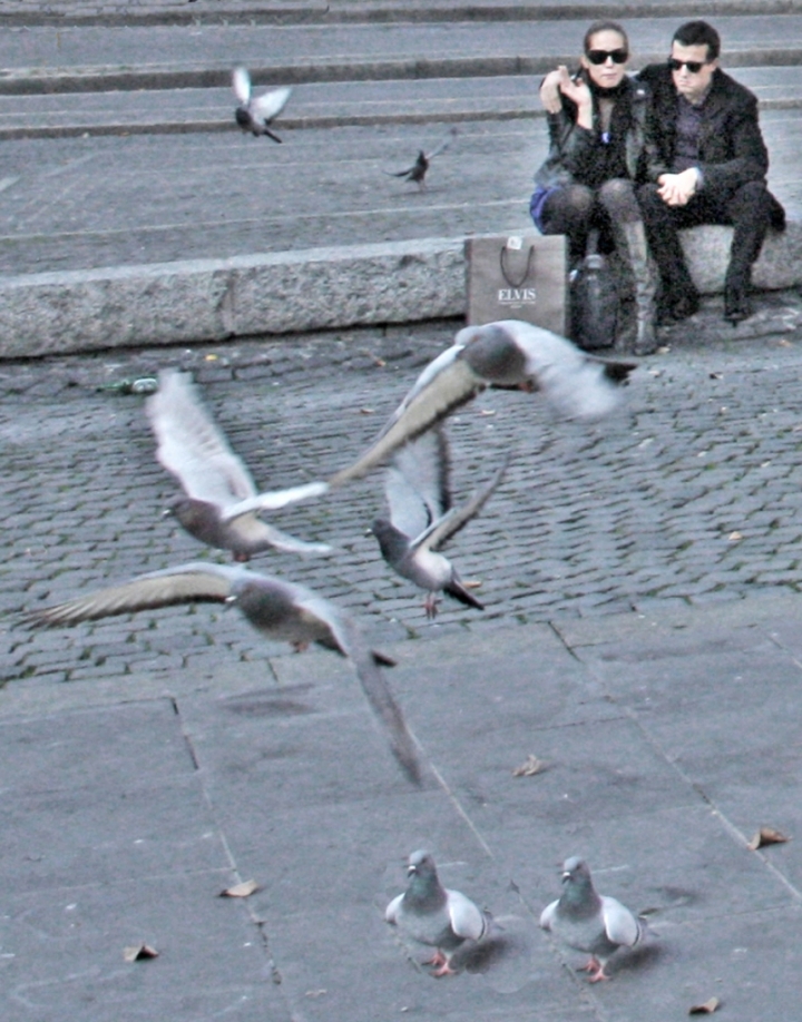 AMORE... A ROMA di maozi