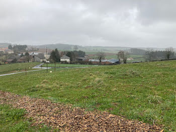 terrain à Lafeuillade-en-Vézie (15)