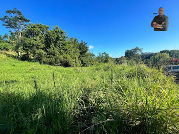 terrain à Le robert (972)