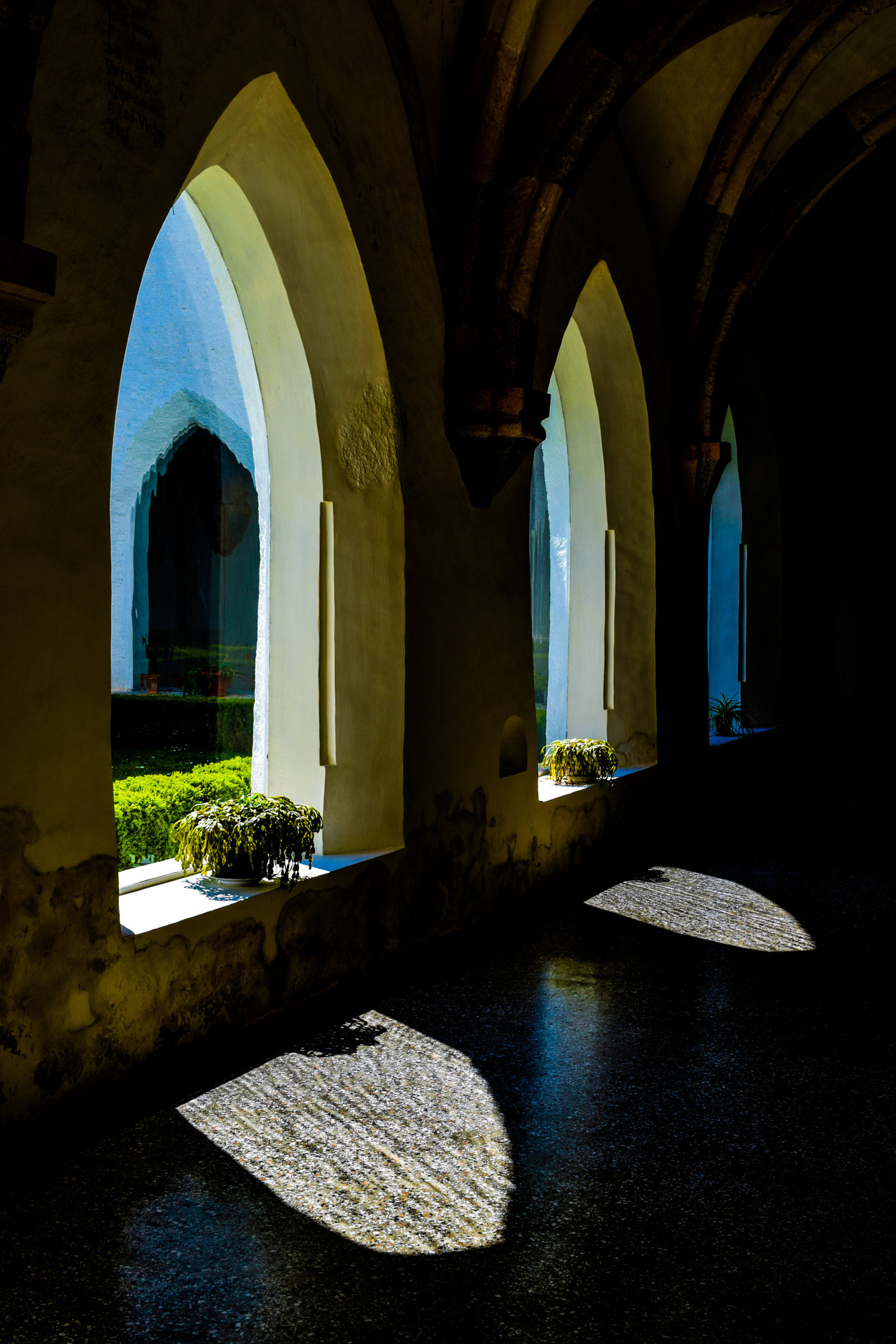 Monastero Stična di nogoalba