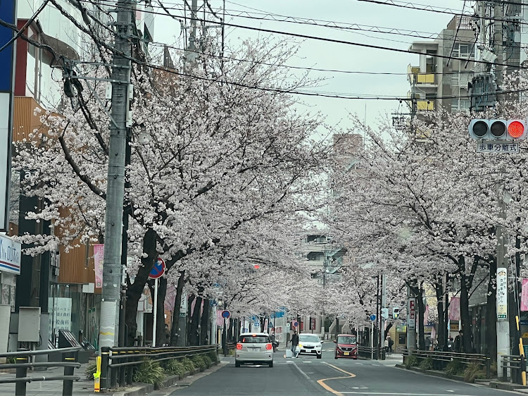 の投稿画像6枚目