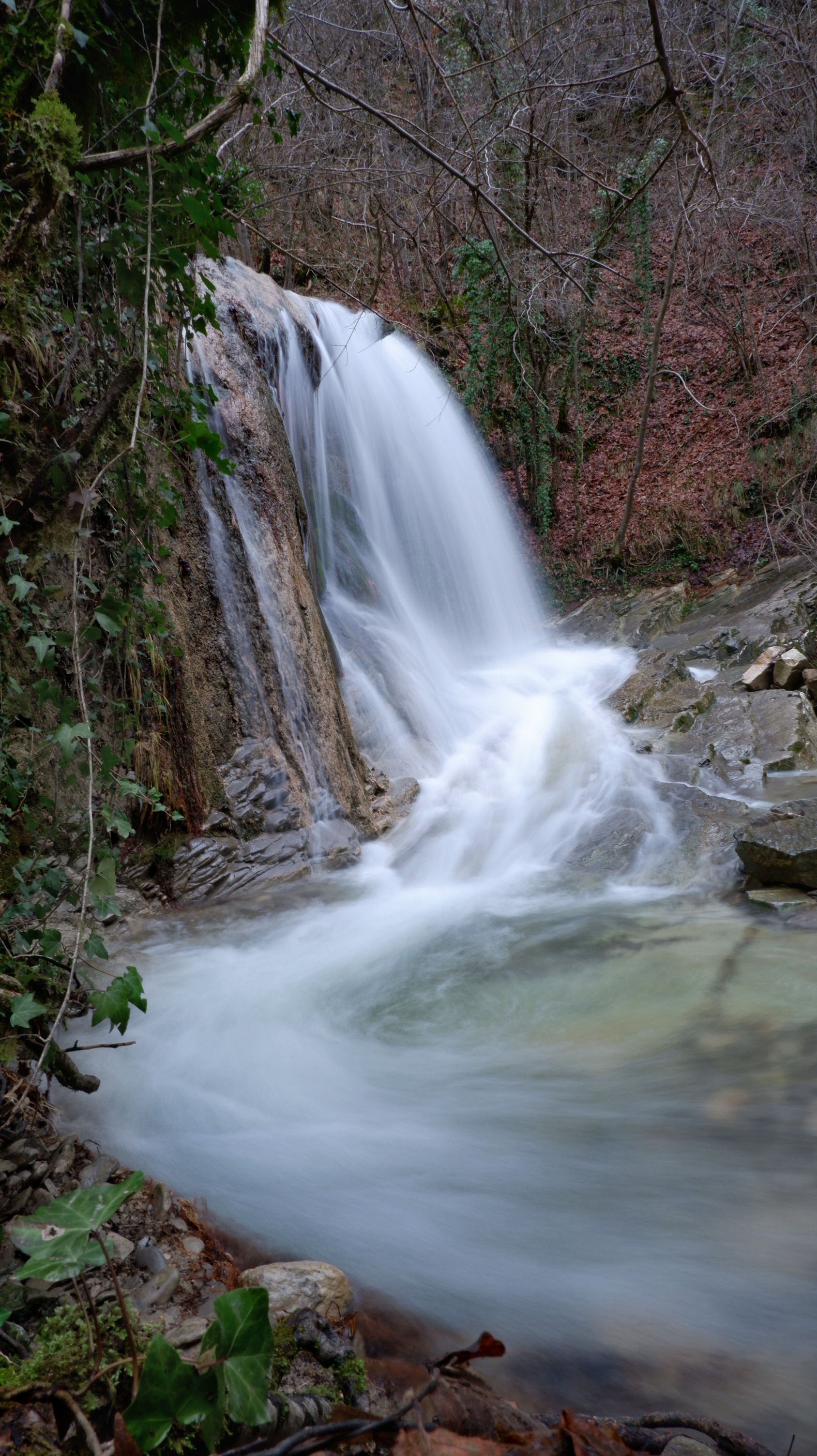 Water dance  di Lory77