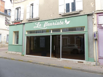 locaux professionnels à Pouilly-sur-Loire (58)