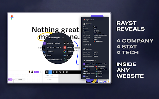 Rayst - Reveal the web