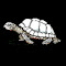 Item logo image for Tortuga Website Slower