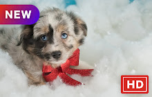 Christmas dog HD New tab Popular pets Theme small promo image