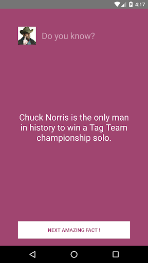 Chuck Norris The Legend