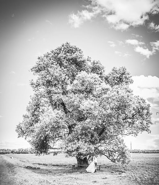 Свадебный фотограф Мария Загер (mzager). Фотография от 3 августа 2017