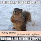 Download funny animal pictures with captions For PC Windows and Mac 4.0.0