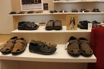 Hush Puppies photo 