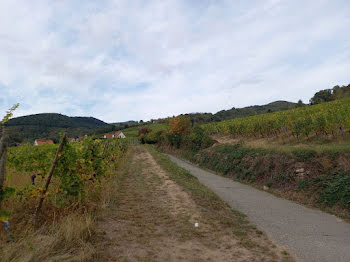 terrain à Kaysersberg (68)