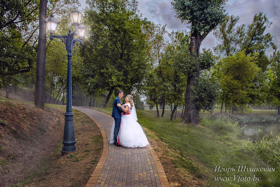 Wedding photographer Igor Shushkevich (foto-video-bel). Photo of 26 January 2016