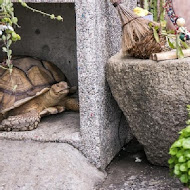 滿福樓海宴餐廳