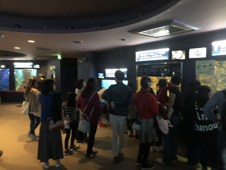 エリシオンプレステージの須磨海浜水族園・水族館・エムズガレージに関するカスタム事例の投稿画像4枚目