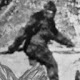 Sasquatch HD Wallpapers Big Foot Theme