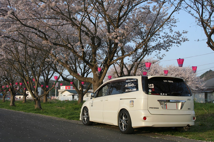 の投稿画像8枚目