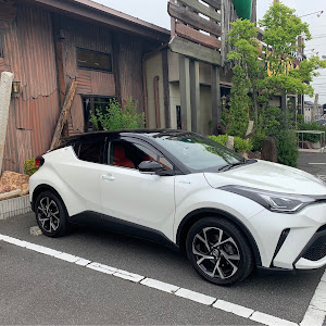 C-HR ZYX11