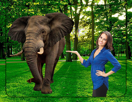 3D Wildlife Animal Photo Editor  Wild HD Frames