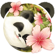 Cute Baby Panda Theme  Icon