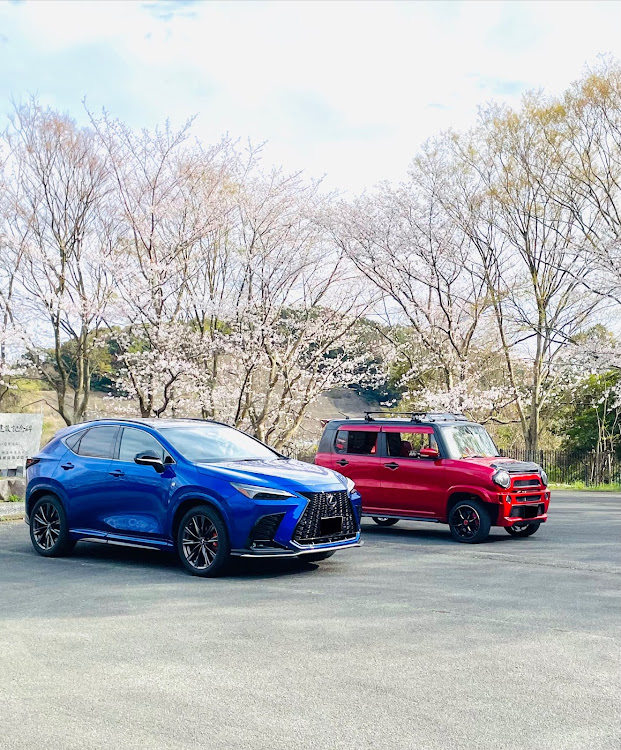 ハスラーのいつも、いいね！有り難う御座います🙇・桜シーズン開幕・桜と愛車コラボ🌸😁・仲間と桜🌸コラボ😄・春の風物詩と愛車に関するカスタム事例の投稿画像5枚目