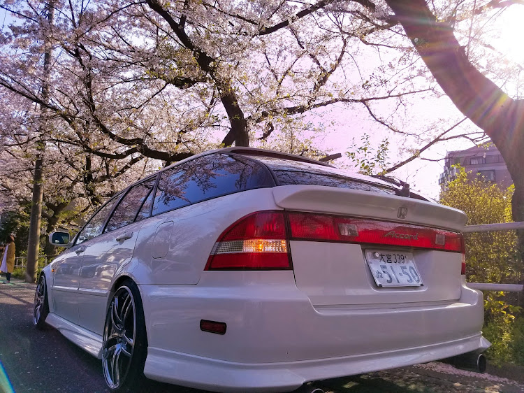 アコードワゴンの桜と愛車に関するカスタム事例の投稿画像2枚目