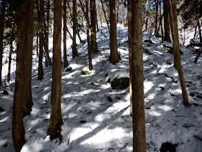 ここから登り返す